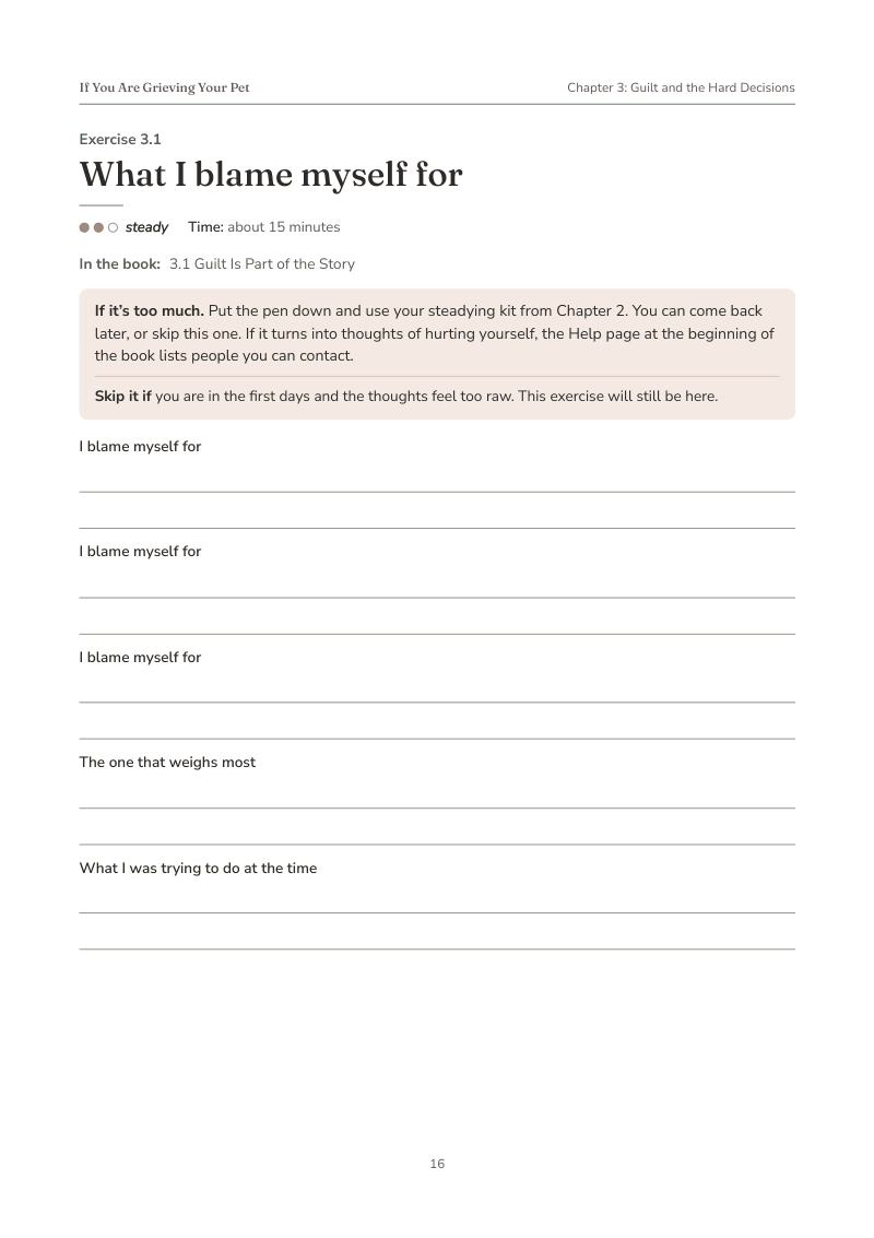 Preview of one worksheet page: a title, a short box with instructions, and ruled lines for writing by hand.